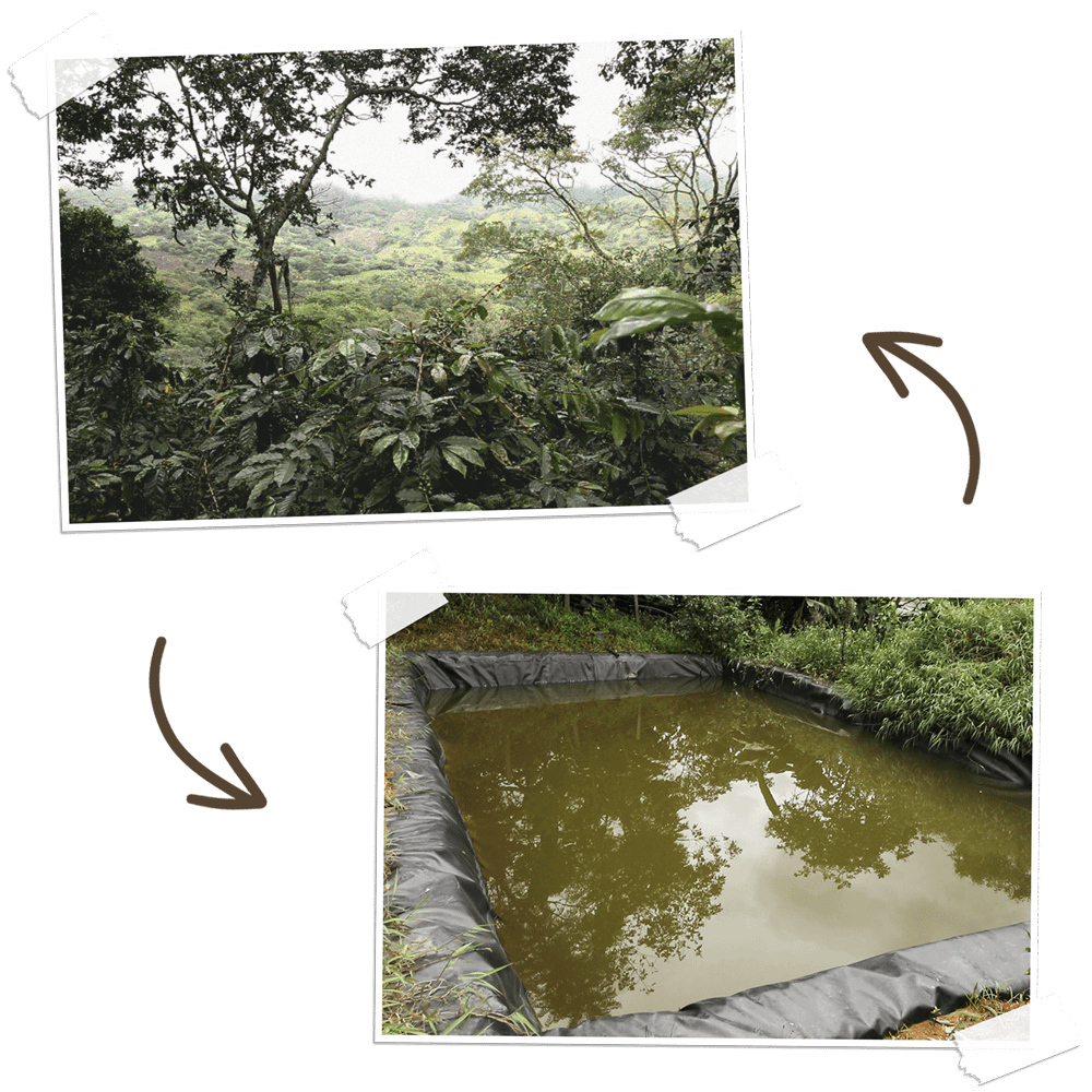 water-management water-management