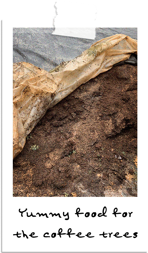 farm-compost farm-compost