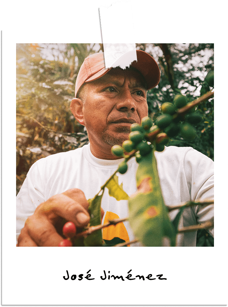 jose-jimenez jose-jimenez