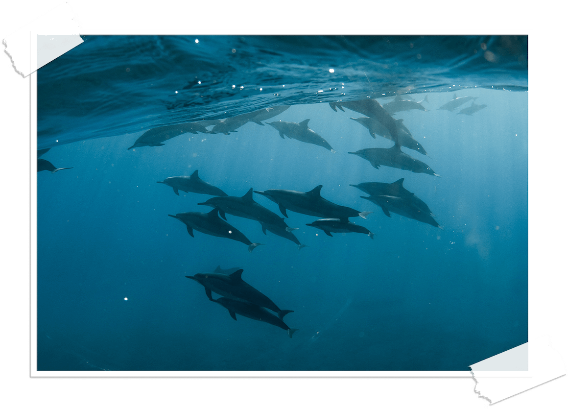 ocean ocean